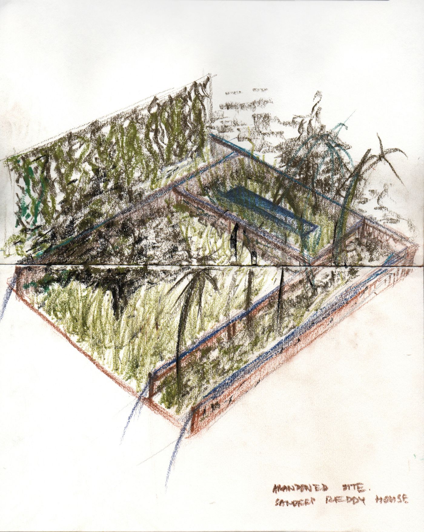 House in Chennai : sketch of vegetation and site organization