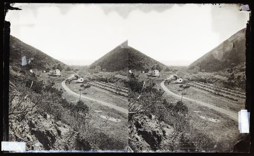 Stereograph of Lincoln's Bee ranch in Nicholsons Canyon, Sonoma, California, United States of America
