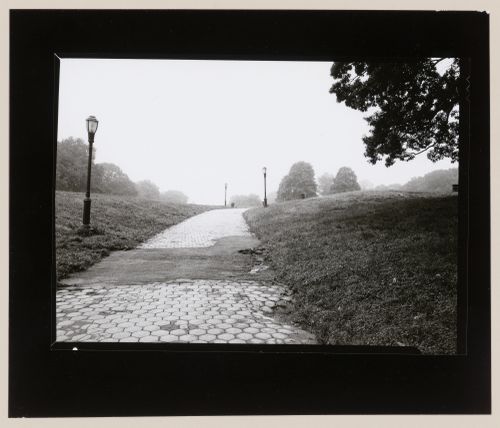 Long Meadow, Prospect Park, Brooklyn, New York City, New York