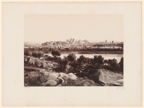 General view from the north of Avignon showing landscape and the Rhône in the foreground, and the Palais des Papes and the Pont d'Avignon in the distance, France