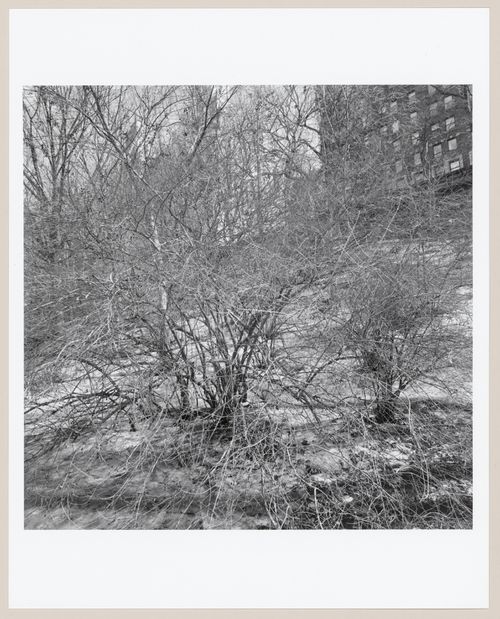 Riverside Park and Drive, New York, New York