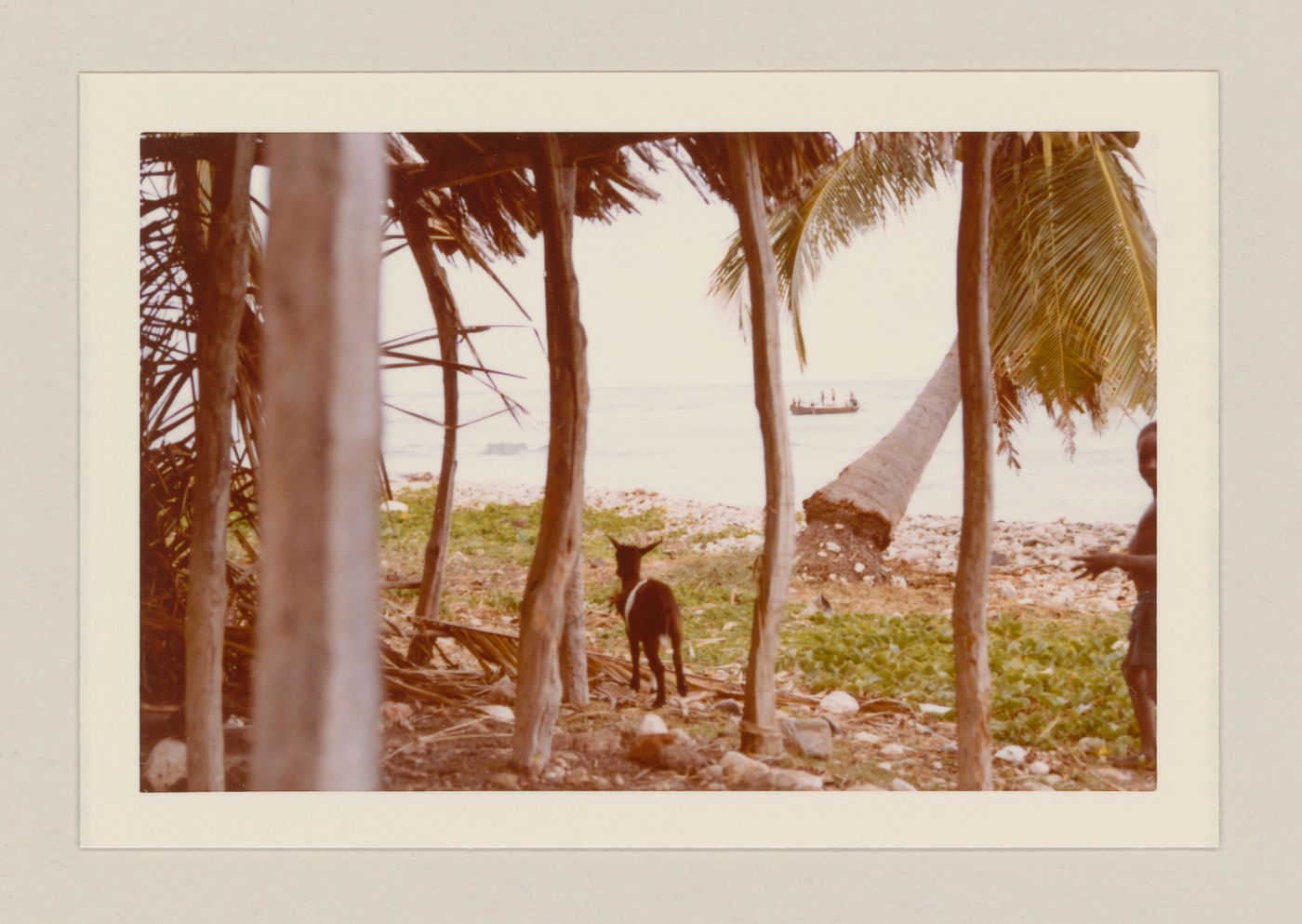 Beach scenery, Haiti