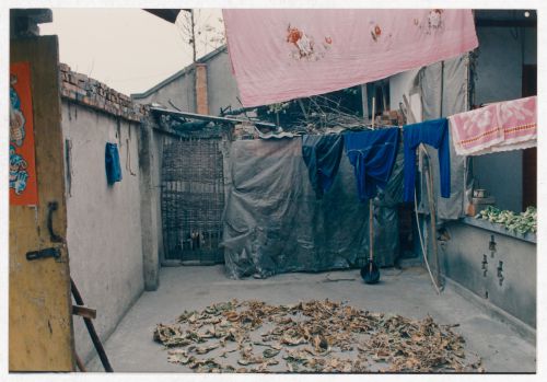View of rural house interior court in Sichuan province, China