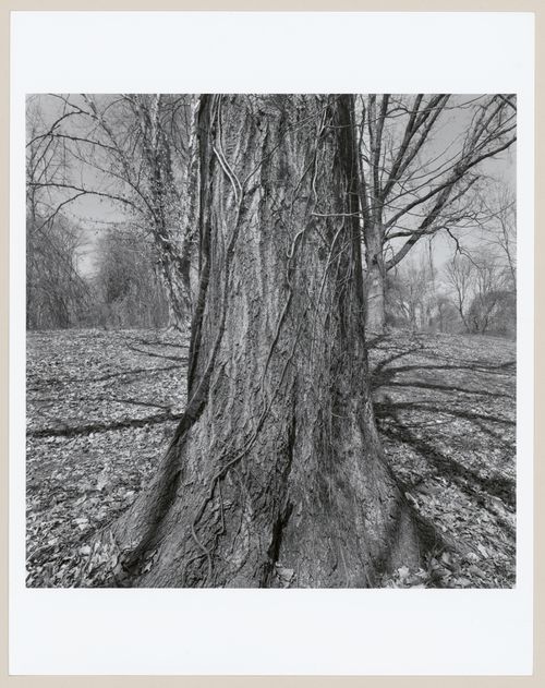 Iroquois Park, Louisville, Kentucky