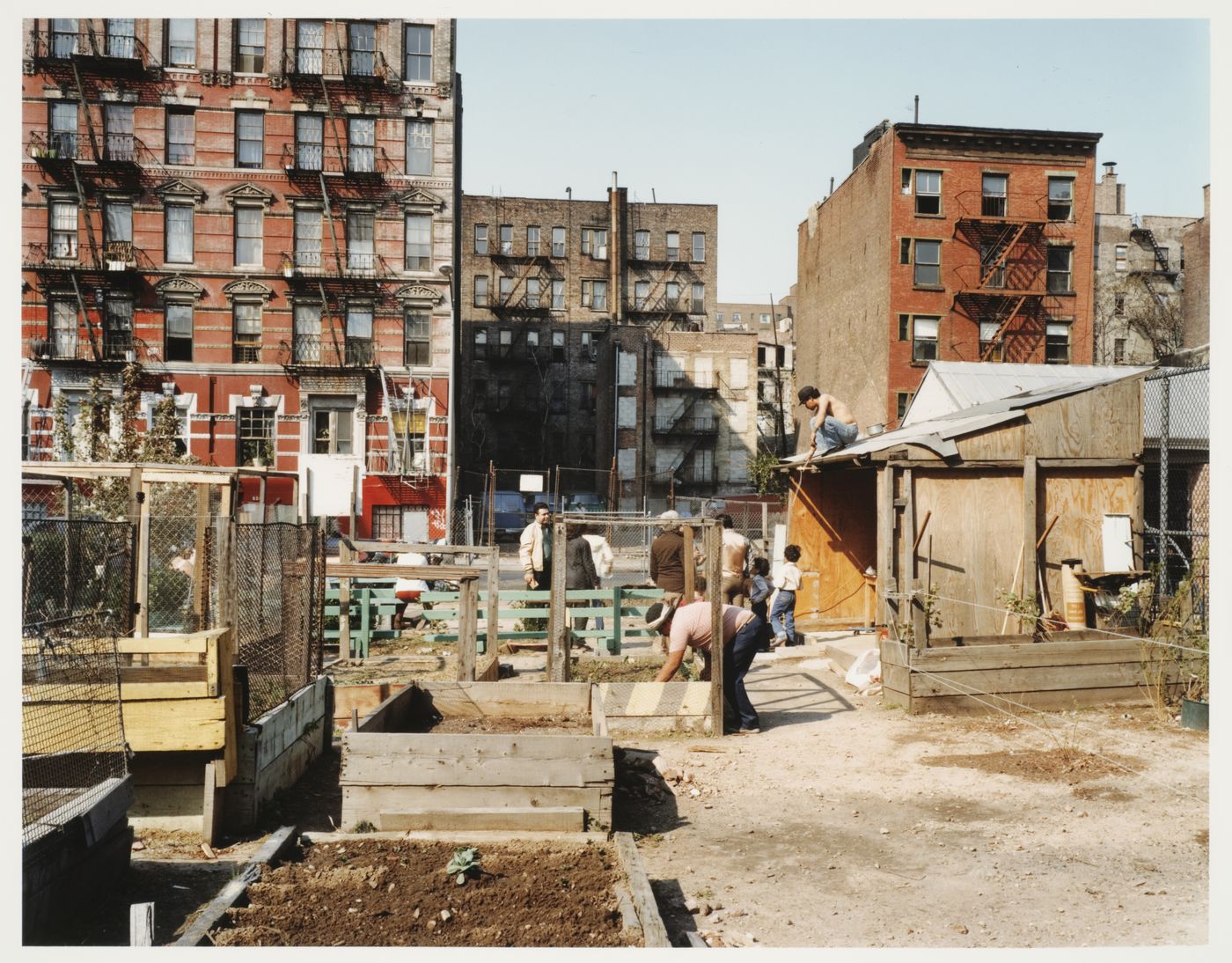 People planting community garden, New York City, New York, United States
