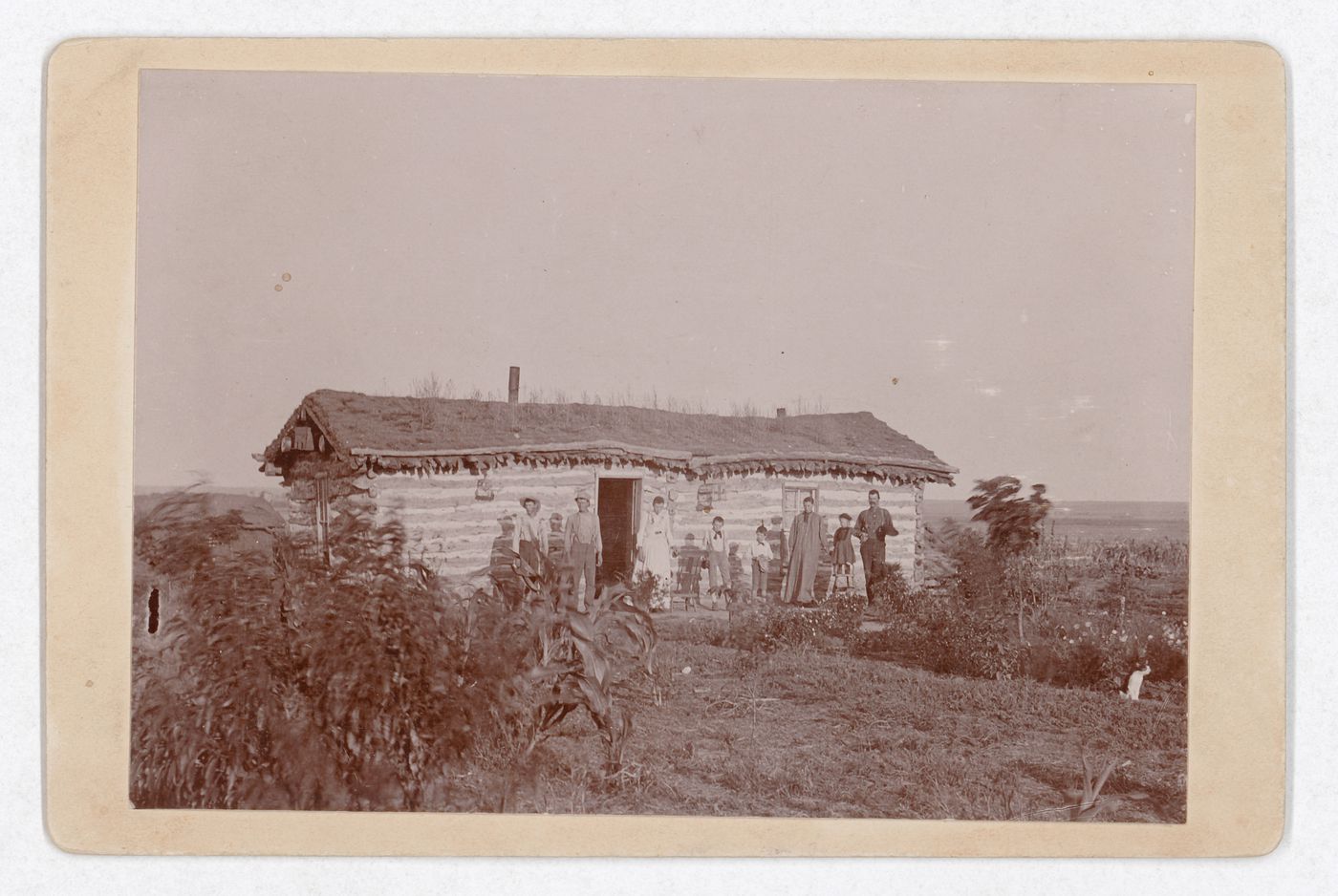 Group portrait of five adults and three children, possibly a family, standing in front of log cabin with sod roof and garden, probably Kansas, United States