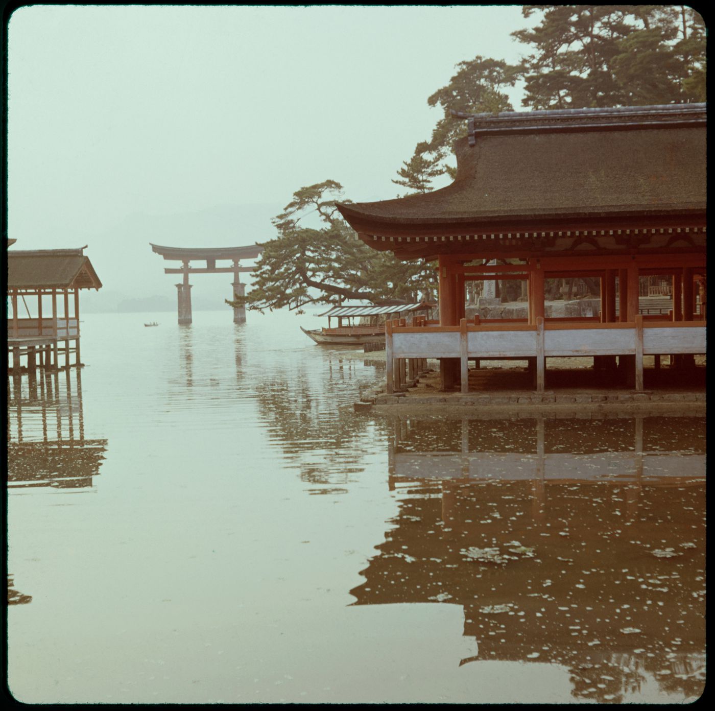 Itsukushima Shrine, Hatsukaichi-shi, Japan