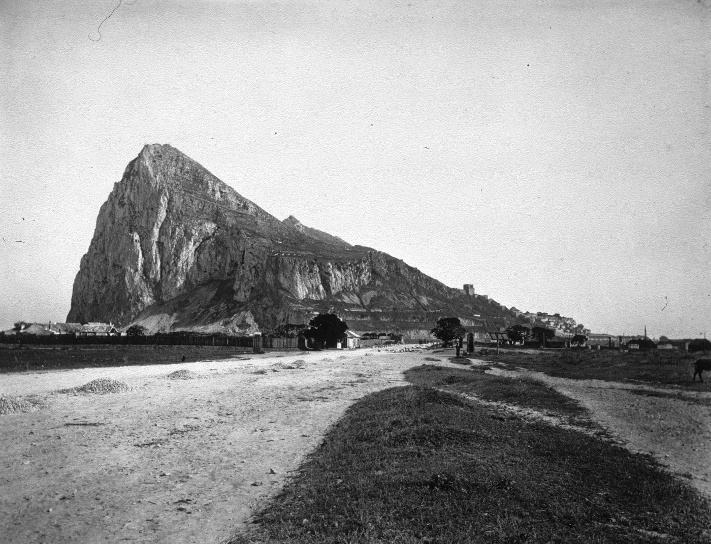 Plate from album ''Views of Italy, Monaco, Algers, Lisbonne, Gibraltar and Montserrat by various photographers''