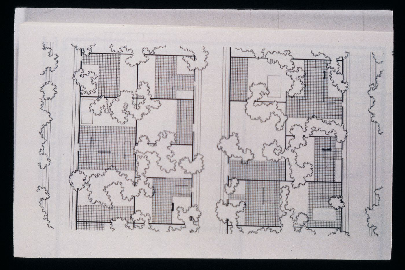Slide of a drawing for Courtyard Housing study, by Mies van der Rohe