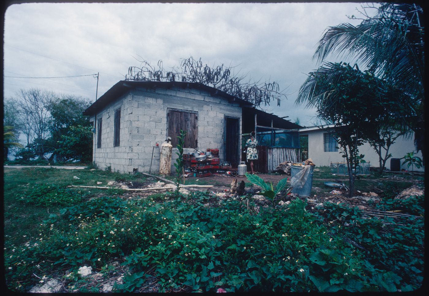 House, Jamaica
