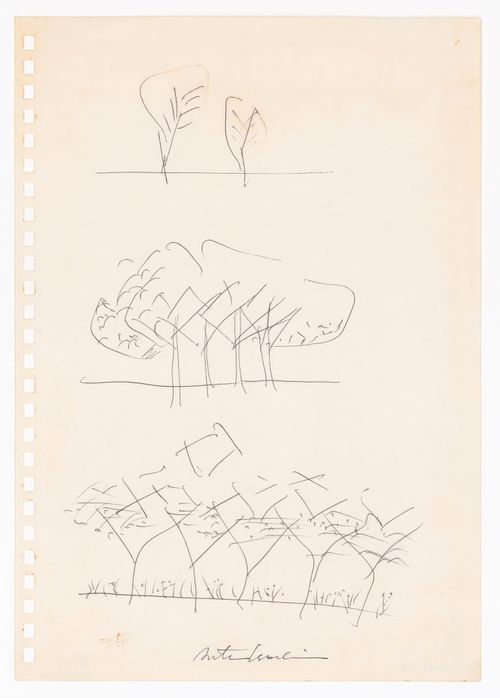 Sketch of a grouping of trees for the Clusters in the Air Project, Tokyo
