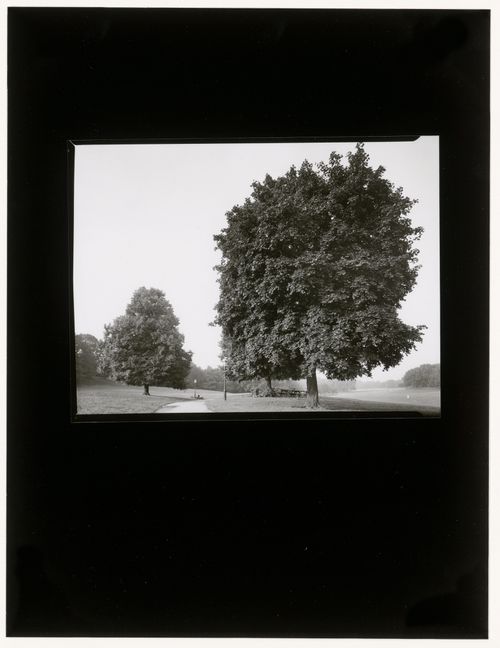 Long Meadow, Prospect Park, Brooklyn, New York City, New York