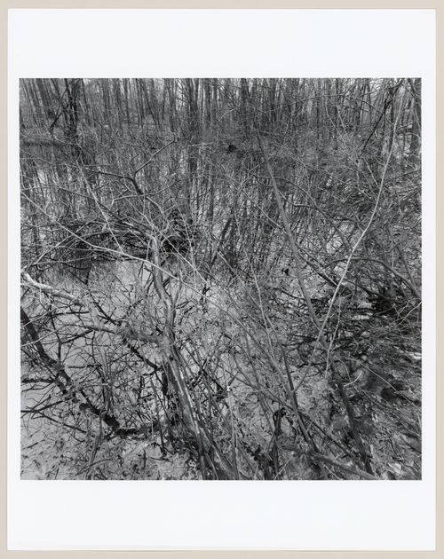 Middlesex Fells Metropolitan, Boston, Massachusetts