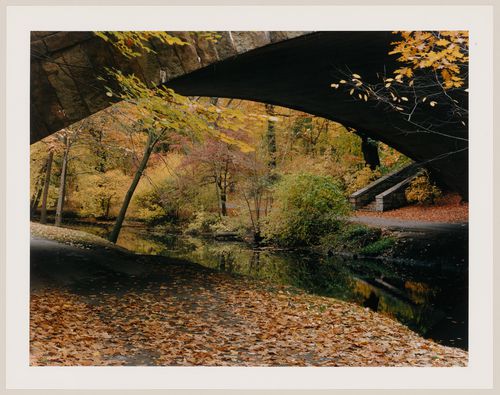 Viewing Olmsted: View looking under Longwood Avenue Bridge, Muddy River Improvement, Muddy River, Boston, Massachusetts