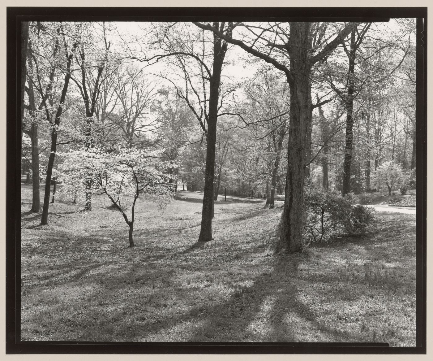 Druid Hills, Atlanta, Georgia, United States