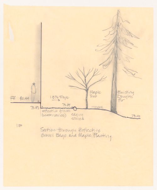 Section through reflective gravel edge and maple planting for C. K. Choi Institute of Asian Research, University of British Columbia, Vancouver, British Columbia