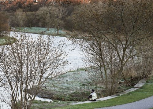 An Enduring Wilderness: Humber River, Etienne Brule Park, Toronto