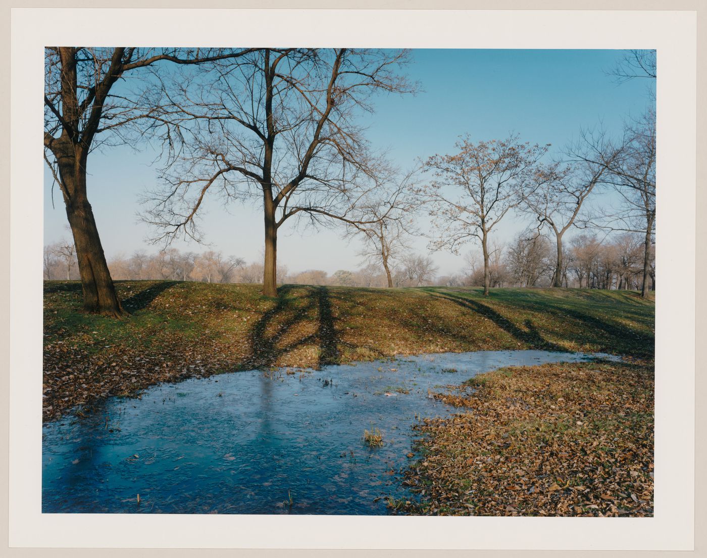 Viewing Olmsted: View of East side of park, Washington Park, Chicago, Illinois