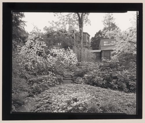 View of the house from the Hollow, Fairsted, the F.L. Olmsted residence and office, Brookline, Massachusetts