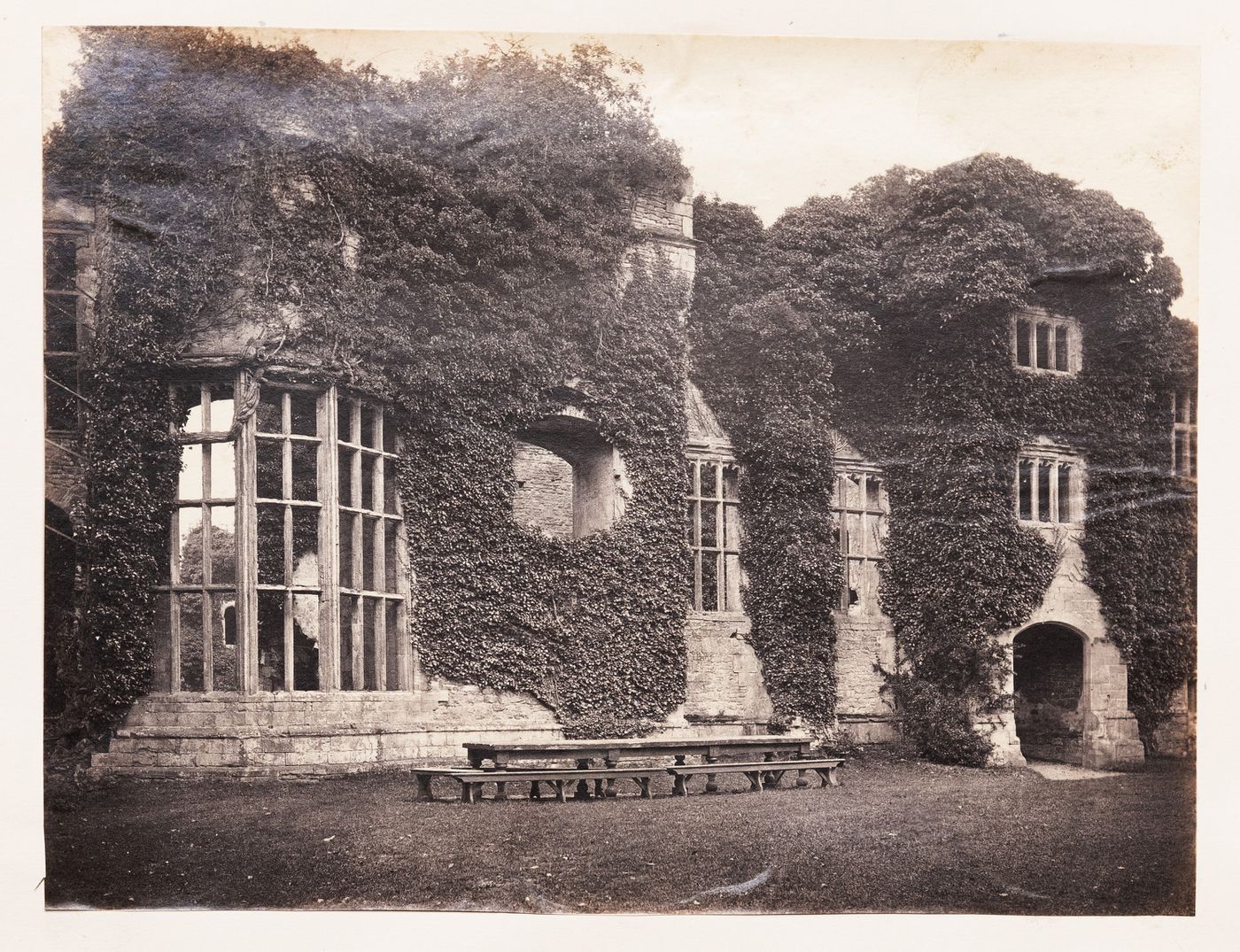 View of a building with French doors and glass windows, and covered with overgrown vegetation, Europe [?]
