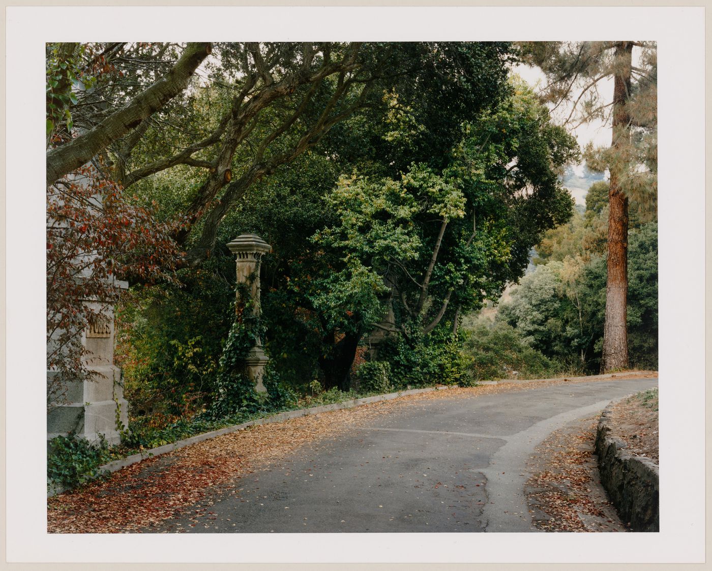 Viewing Olmsted: Detail with road, Mountain View Cemetery, Oakland, California