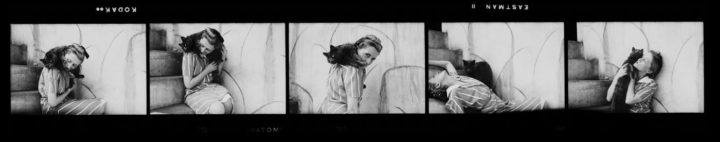 Portraits de Clorinthe ou Cécile Perron possiblement posant avec un chat