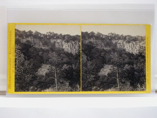 Monmouthshire Illustrated. The Wyndcliff - from Moss Cottage