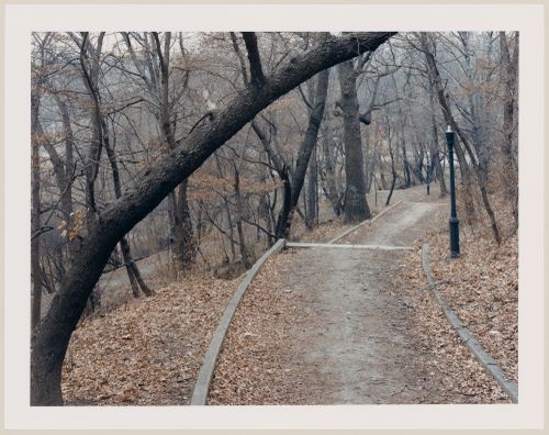 Viewing Olmsted: View of Look Out Hill, Prospect Park, Brooklyn, New York City, New York