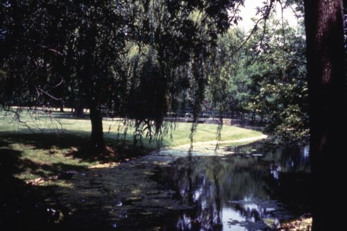 Slide of park for Research, Olmsted: L'origine del parco urbano e del parco naturale contemporaneo