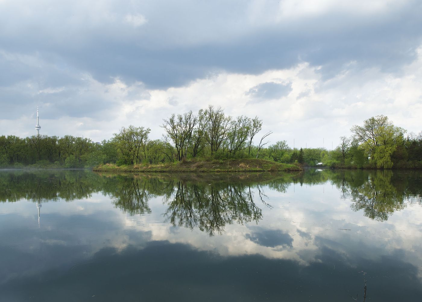 An Enduring Wilderness: Hamlan's Island and Bird Sanctuary, Toronto Islands, Toronto