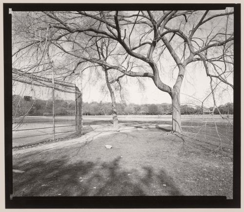 North Meadow [?] Central Park, Manhattan, New York City, New York