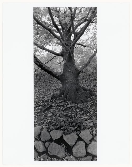 Muddy River Improvement, Boston, Massachusetts