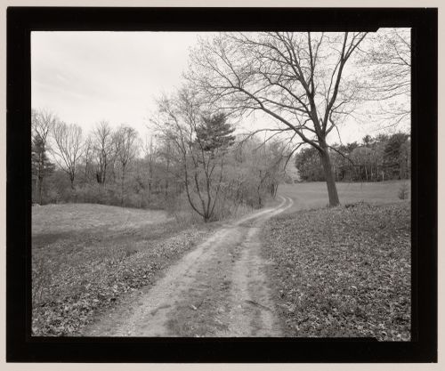 View along south loop carriage road, Moraine Farm, the John C. Phillips Estate North Beverly, Massachusetts