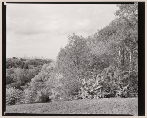 Arnold Arboretum, Boston, Massachusetts, 1993