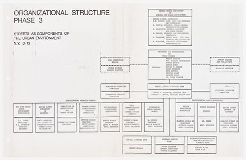 Diagram of organizational structure phase III, Binghamton Street Study
