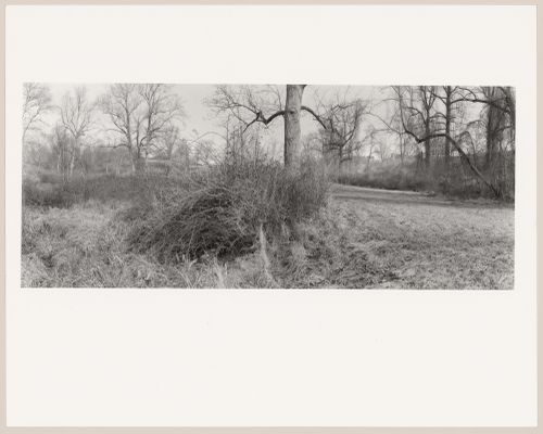 View of Deer Park towards the house, Biltmore, The George W. Vanderbilt Estate, Asheville, North Carolina
