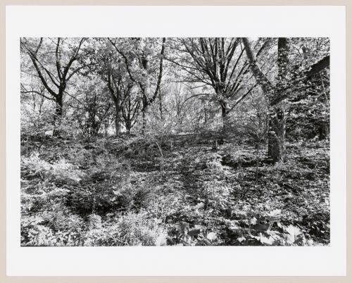 Highland Park, Rochester, New York