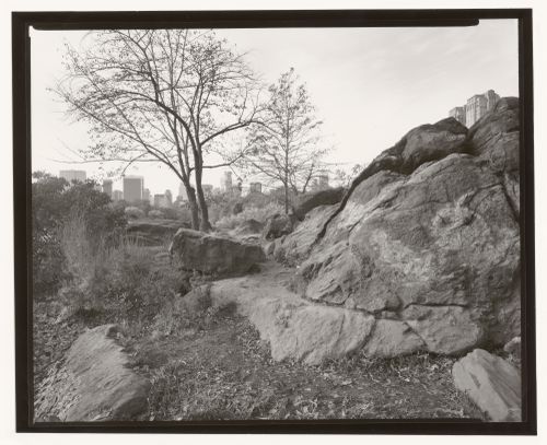 The Lake, Central Park, New York City, New York, 1991