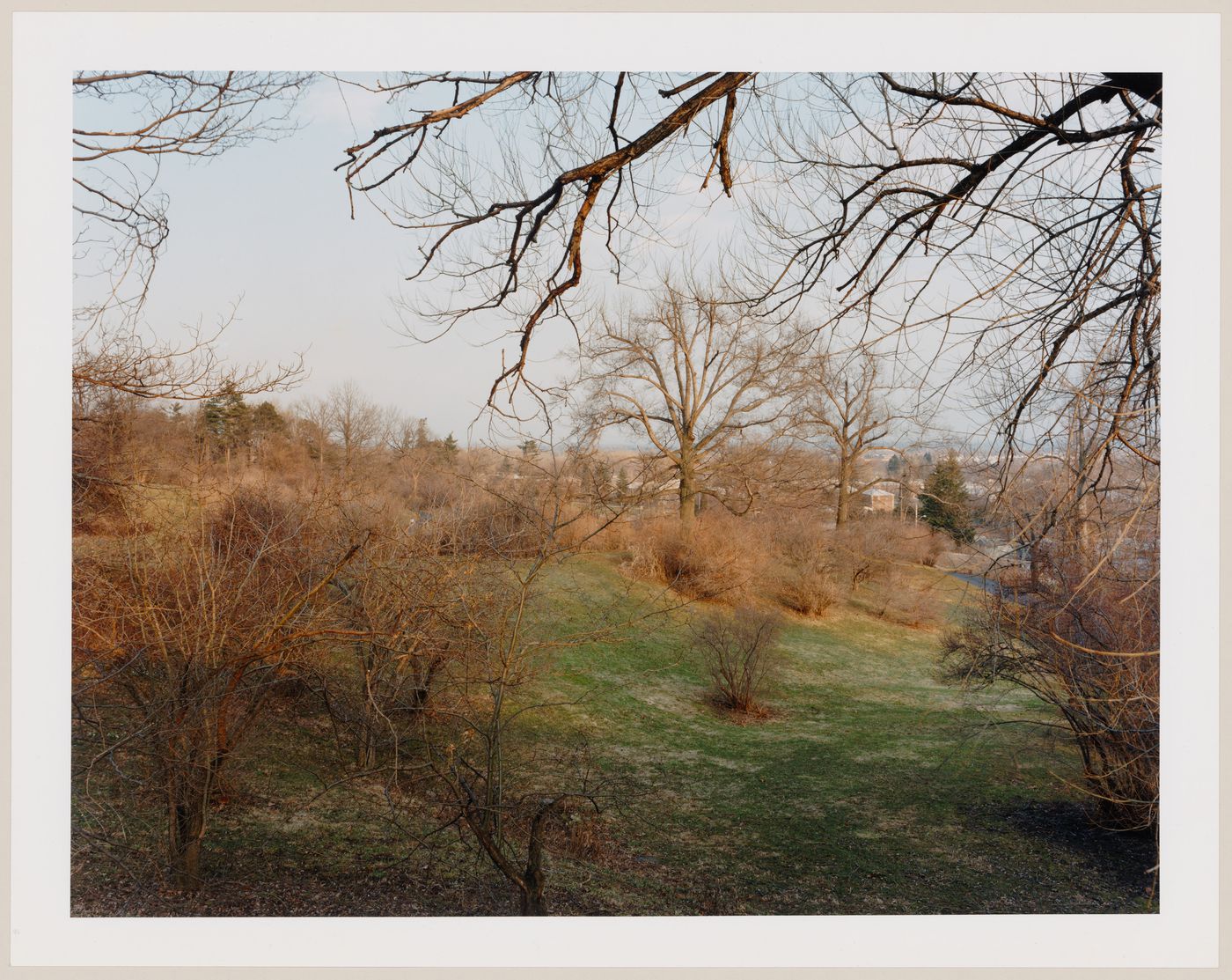 Viewing Olmsted: View of Looking north parallel to Arborway, The Arnold Arboretum, Boston, Massachusetts