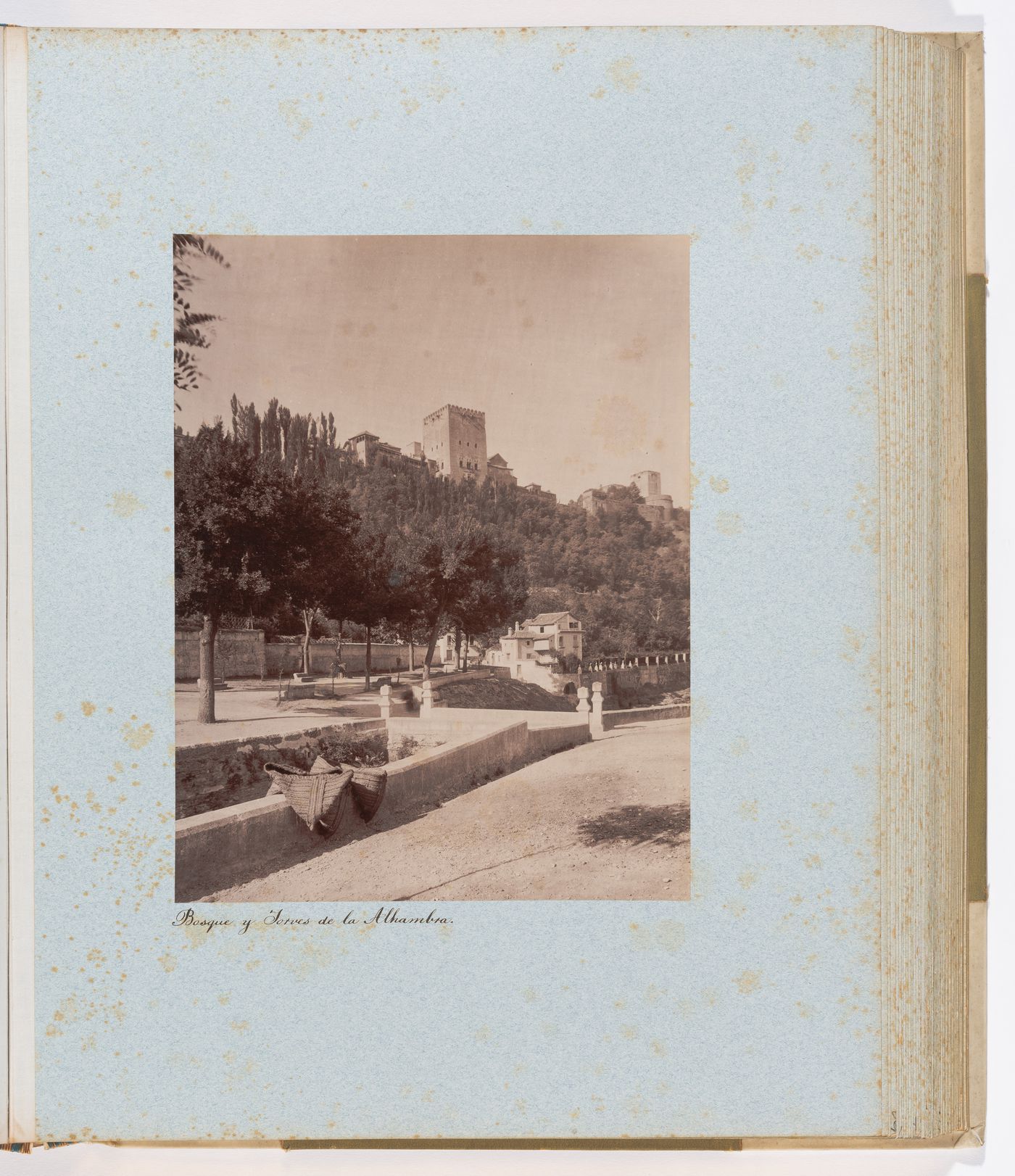 View of the forest and towers of the Alhambra from the Bridge of the Cistern, Alhambra, Granada, Spain 

