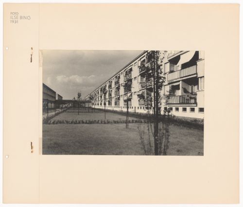 Exterior view garden and apartment houses of Hellerhof Housing Estate, Frankfurt am Main, Germany