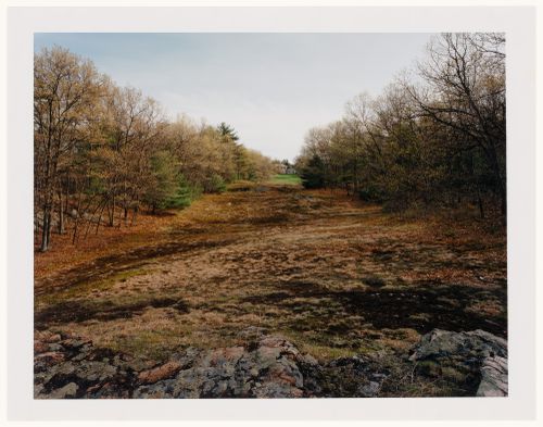 Viewing Olmsted: View towards the house, "The Cedars", The Henry Sargent Hunnewell Estate, Wellesley, Massachusetts