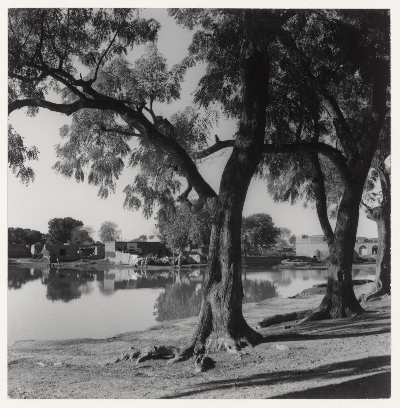 Unidentified view of a landscape with houses in the background in the area of Chandigarh, India