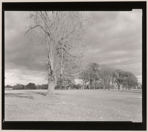 Storm, Delaware Park, Buffalo, New York
