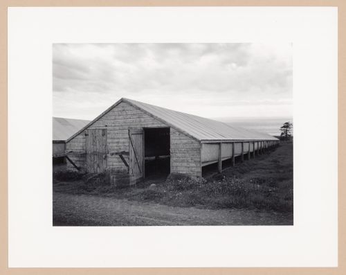 Mink shed, Louis J. Comeau Mink Ranch Ltd., Digby, Nova Scotia, from the series The Forms of Canadian Industrial Architecture