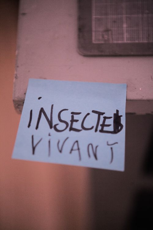 Image from the artist's book "Uncollected at CCA"