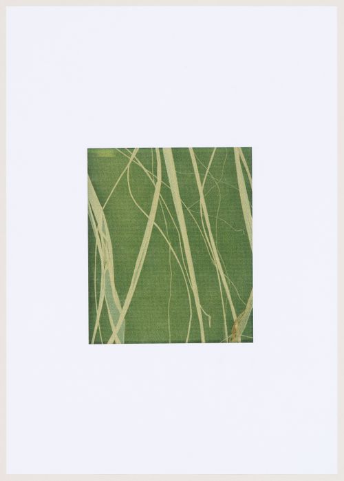 Sample of motif of vegetation for the decorative windows, Plaza y torre Woermann, Las Palmas, Canary Islands