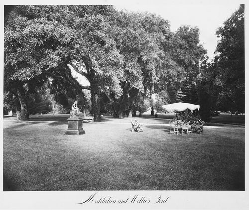 View of the estate grounds, Thurlow Lodge, Menlo Park, Californiac, United States