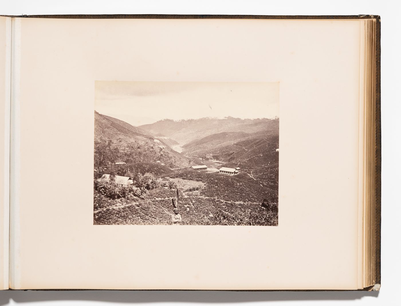 View of the Lawilier Plantation, Ceylon (now Sri Lanka)