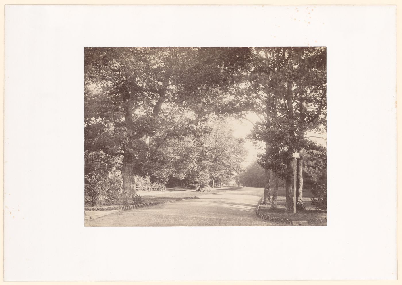 Path between Trees, Bois de Boulogne, Paris, France
